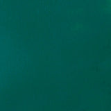 Liquitex Basics Acrylic Fluid Paint - Phthalocyanine Green