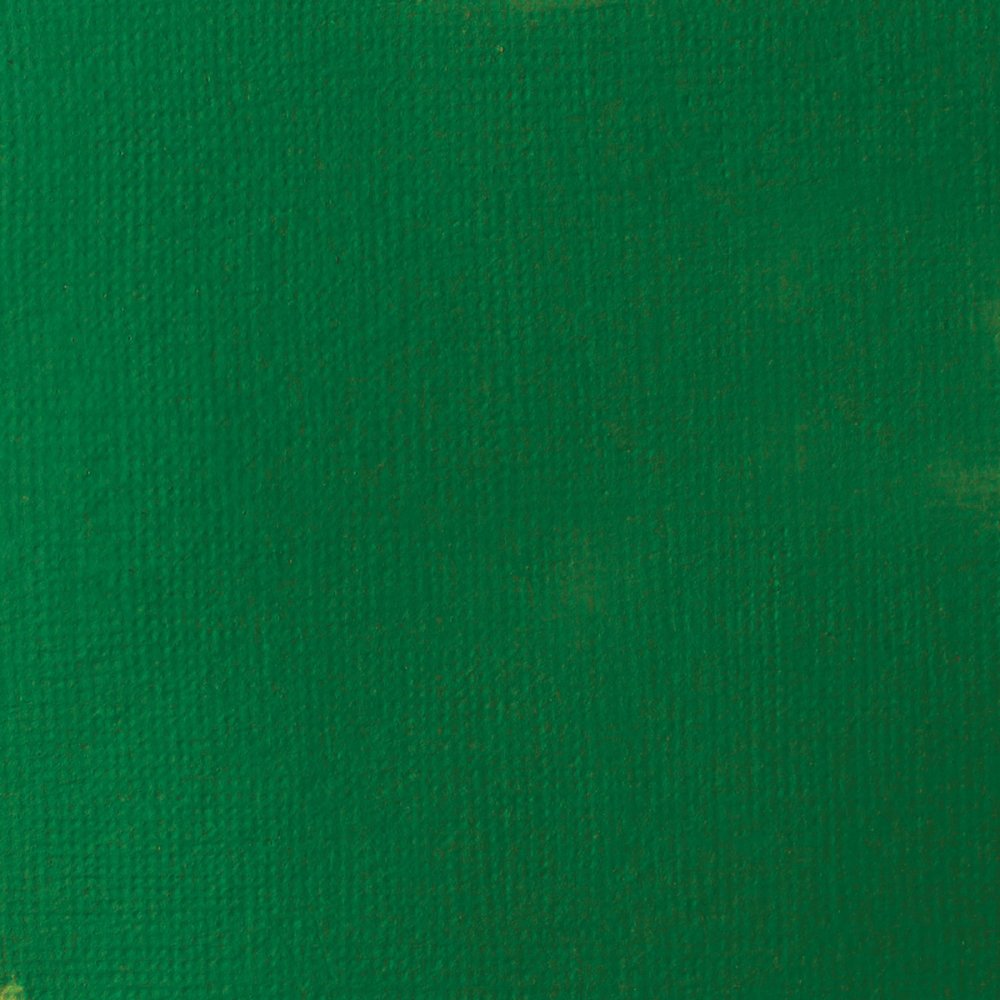 Liquitex Basics Acrylic Fluid Paint - Hookers Green Hue