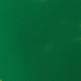 Liquitex Basics Acrylic Fluid Paint - Hookers Green Hue