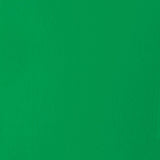 Liquitex Basics Acrylic Fluid Paint - Light Green Permanent