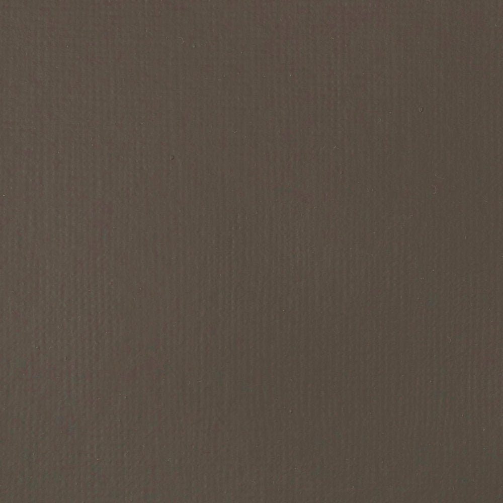 Liquitex Basics Acrylic Fluid - Raw Umber