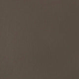 Liquitex Basics Acrylic Fluid - Raw Umber