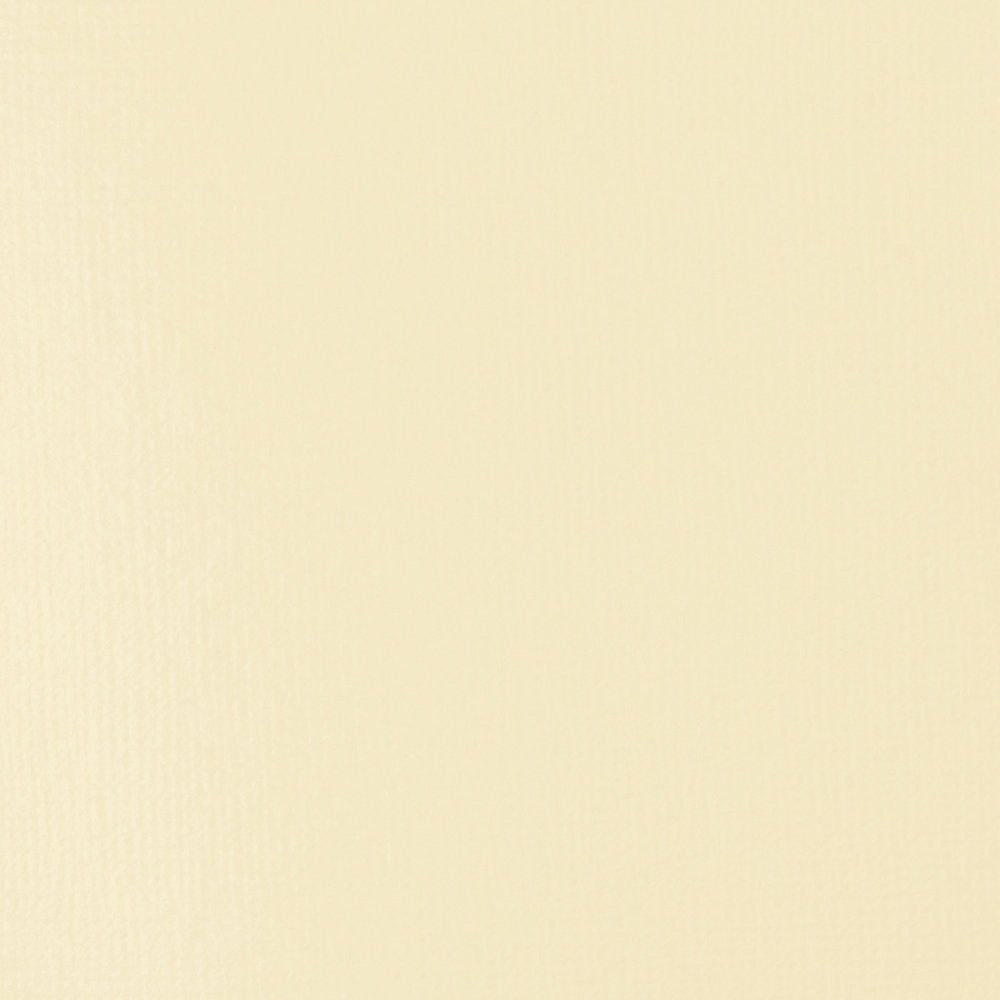 Liquitex Basics Acrylic Fluid Paint - Unbleached Titanium