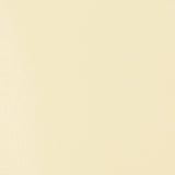 Liquitex Basics Acrylic Fluid Paint - Unbleached Titanium