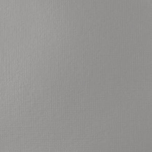 Liquitex Basics Acrylic Fluid Paint - Neutral Gray 5 S1