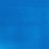Liquitex Basics Acrylic Fluid Paint - Fluorescent Blue S2