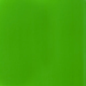 Liquitex Basics Acrylic Fluid - Fluorescent Green