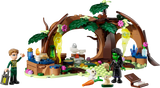 Lego Wicked - Elphaba's Retreat