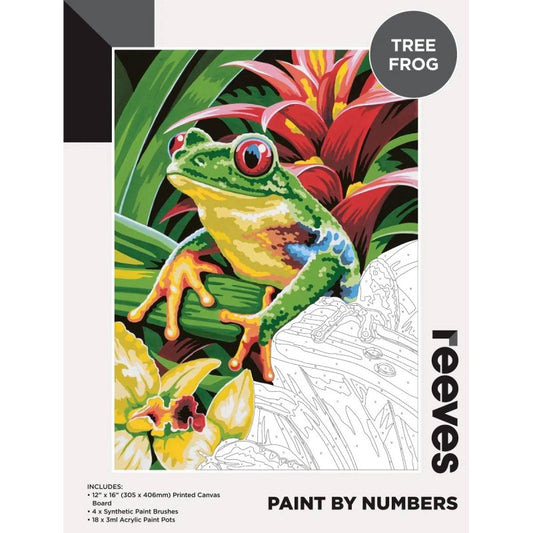 Reeves Paint By Numbers 12X16 Tree Frog