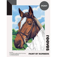 Reeves Paint by Numbers 12x16 inch - Pony