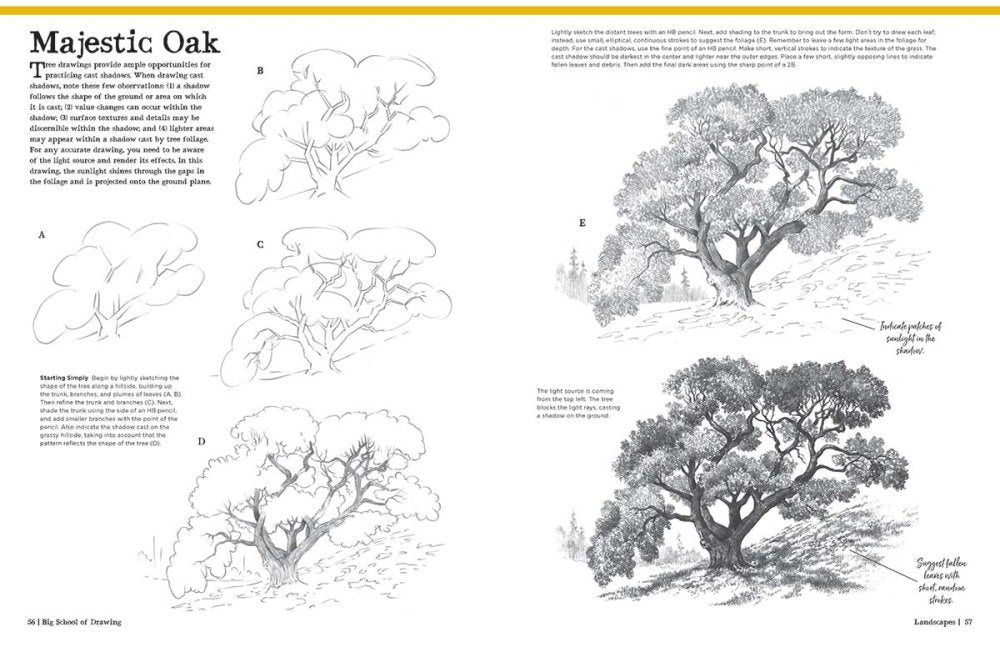 Big School Of Drawing Book by Stephanie Bower