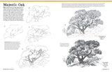 Big School Of Drawing Book by Stephanie Bower
