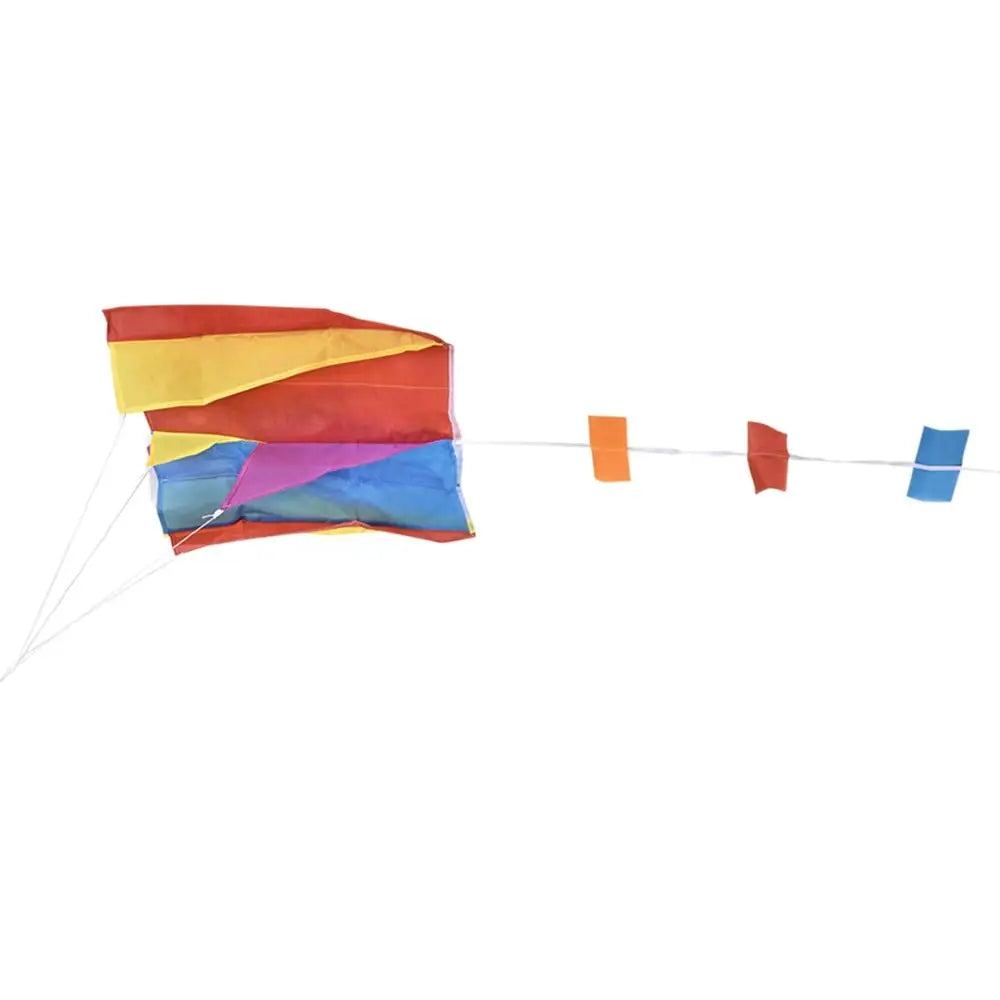 Parafoil Kite In Bag 60cm x 51cm (Assortment)