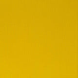 60ml Nickel Azo Yellow - Professional Acrylic