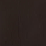 200ml Burnt Umber - Professional Acrylic