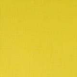 60ml Cadmium Lemon - Professional Acrylic