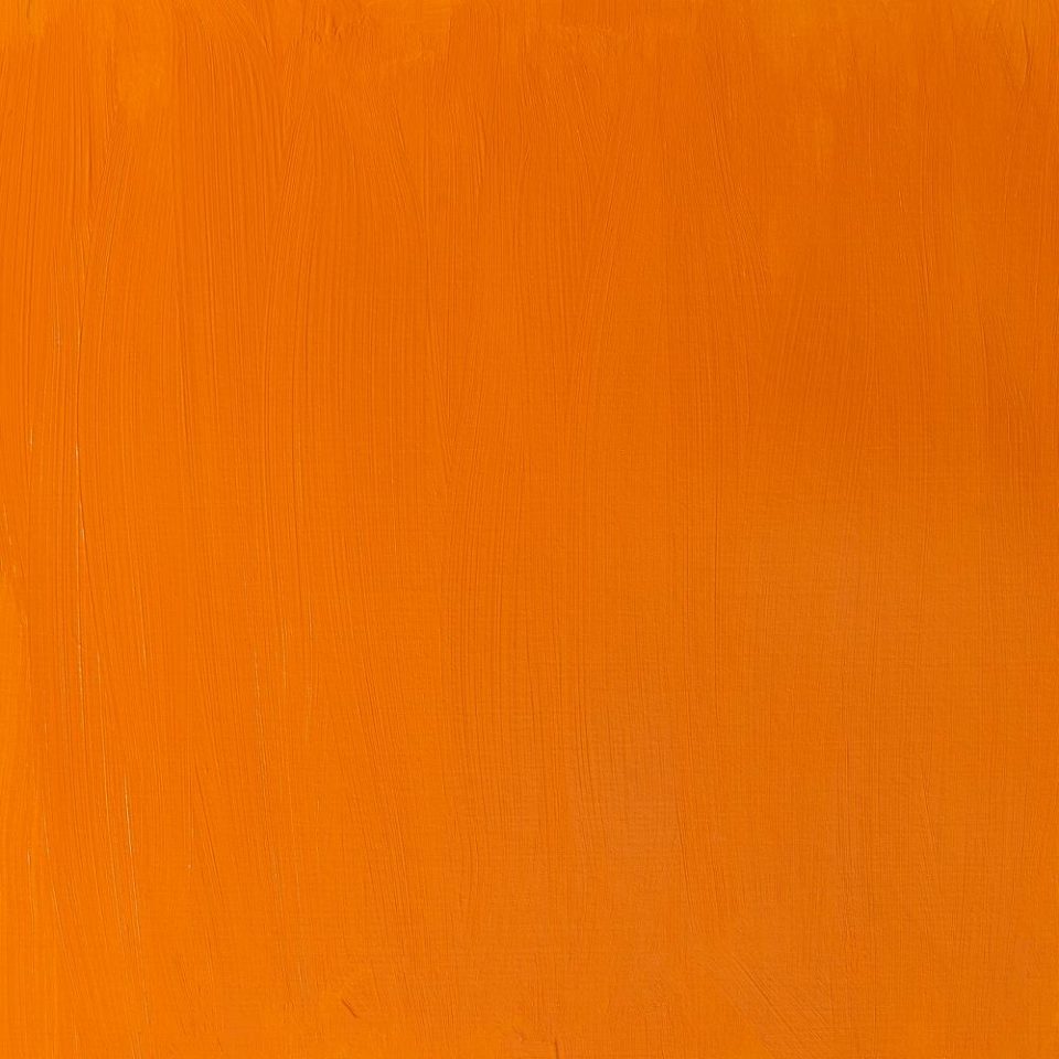 60ml Cadmium Orange - Professional Acrylic