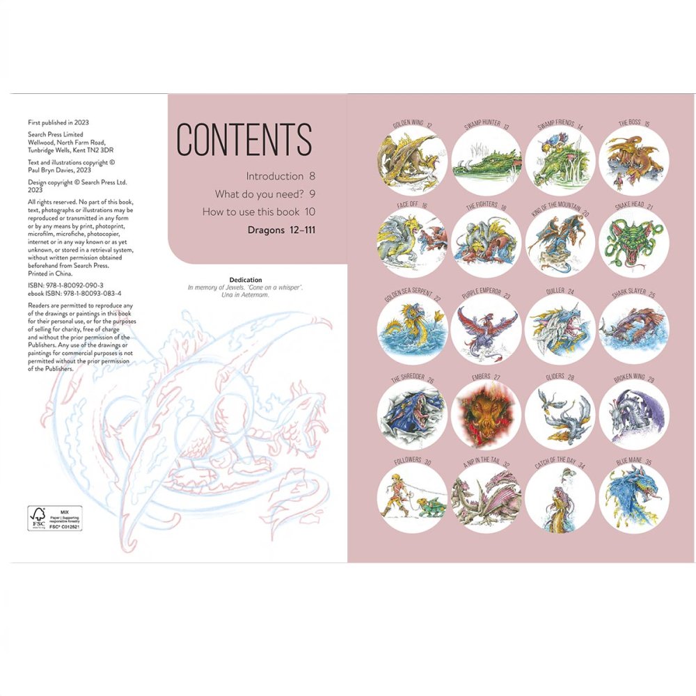 Draw 100: Dragons Book