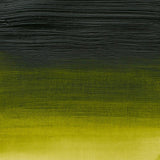 200ml Permanent Sap Green - Professional Acrylic