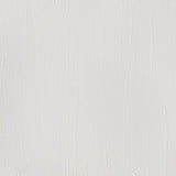 237ml Titanium White - Professional Acrylic