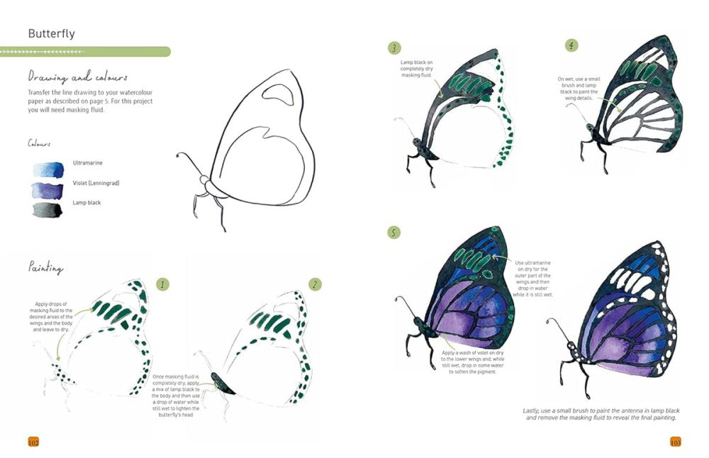 Paint 50: Watercolour Animals Book by Marina Bakasova