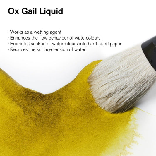 Winsor & Newton Watercolour Medium Ox Gall Liquid 75ml