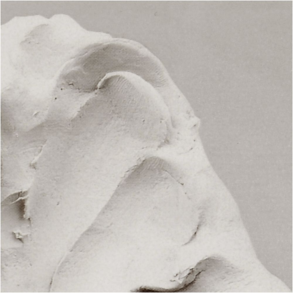 Self-Hardening Clay 1000g - White