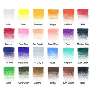 Winsor & Newton Studio Collection Colour Pencils - 24 Tin