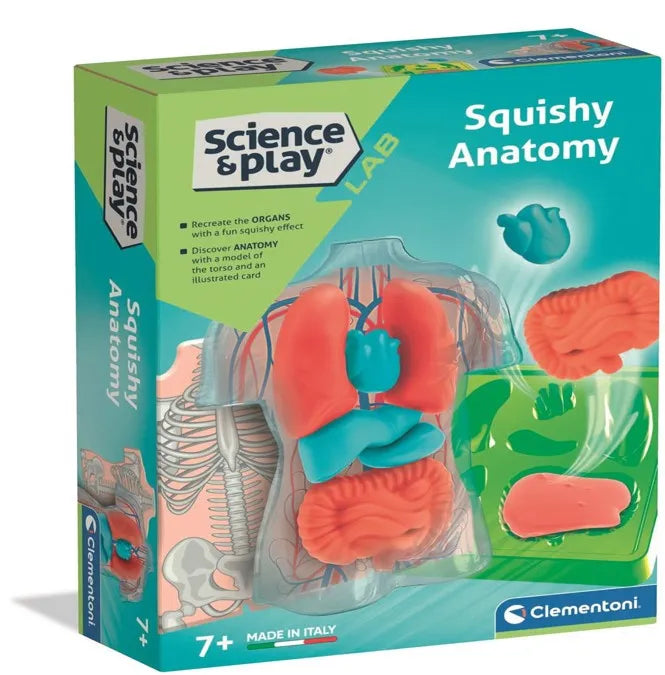 Box of Science & Play Squishy Anatomy set with colorful anatomical models on a white background