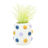 Sculpey III Succulent Pots Kit