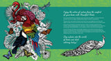 Beautiful Birds Coloring Book