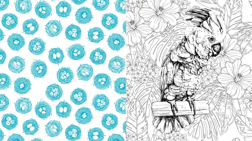 Beautiful Birds Coloring Book