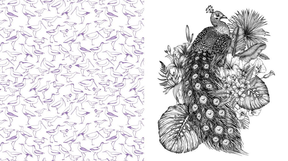 Beautiful Birds Coloring Book