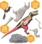 Toy AnatomyT-Rex Kit