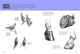 Drawing: Horses Book