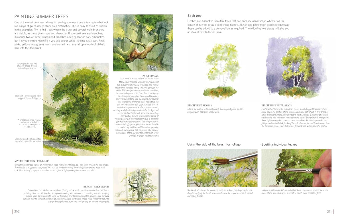 David Bellamy's Complete Guide to Landscapes Book