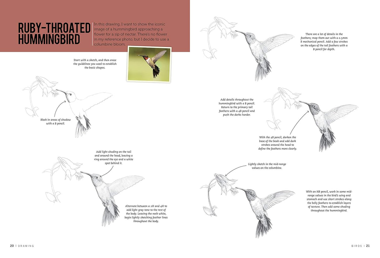 Drawing Birds: Learn to Draw Step by Step Book