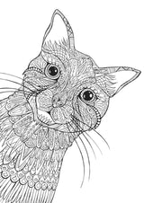 Art Therapy - An Anti-Anxiety Colouring Book