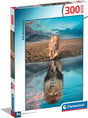 300 Piece Jigsaw Puzzle - Self Reflection