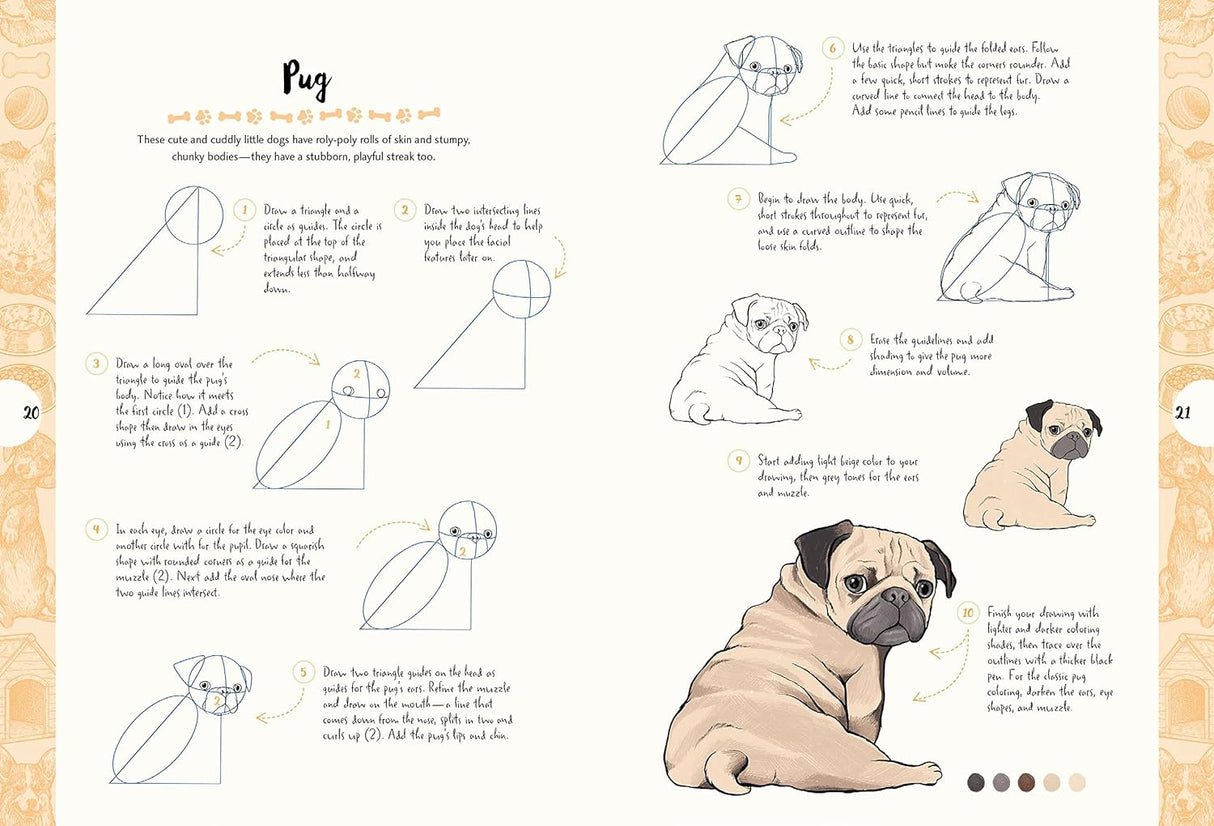 10 Step Drawing: Dogs Book