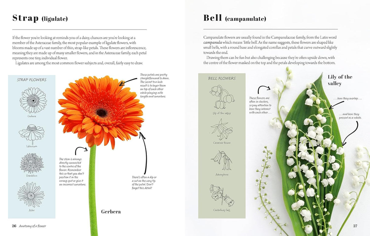 The Kew Book of Drawing Flowers Book
