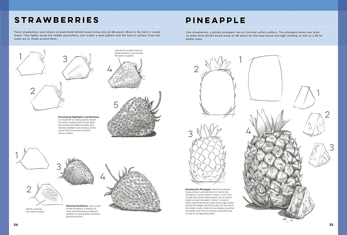 Art of Basic Drawing Book