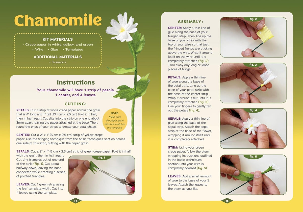 Crepe Paper Flowers Book & Kit