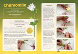 Crepe Paper Flowers Book & Kit