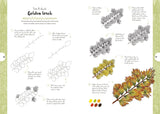 10 Step Drawing: Botanicals Book