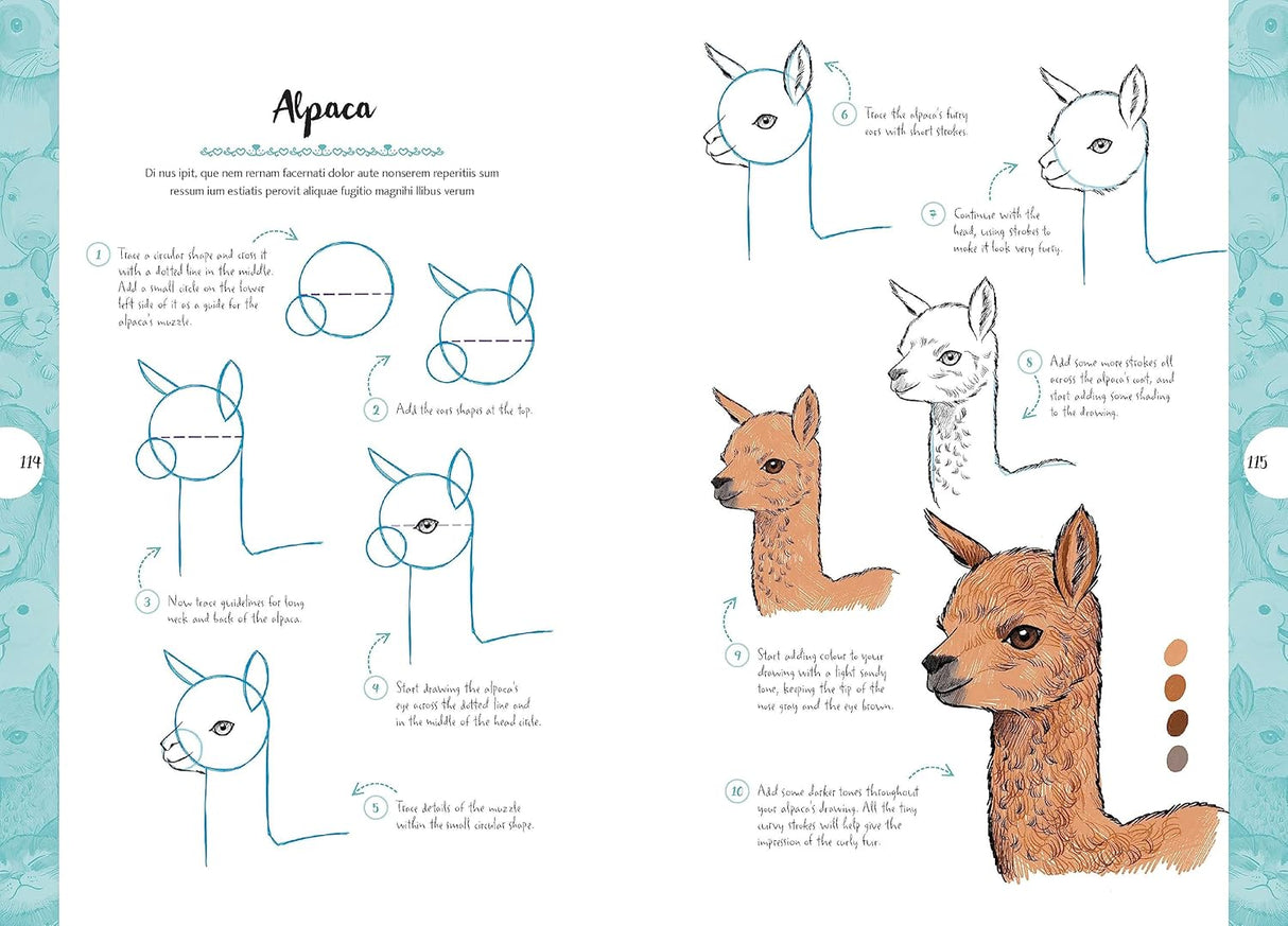 10 Step Drawing: Cute Animals Book