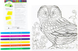 Owl Art Canvas Art Kit With Markers