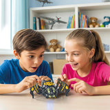 Anibots - Spider Crawl