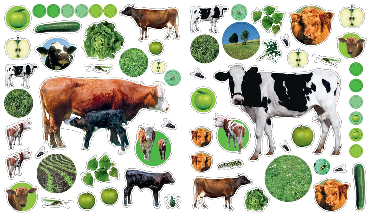 Eyelike Sticker Book: On the Farm
