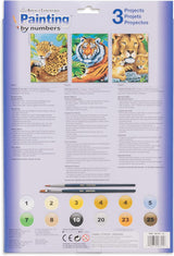 3 Piece Paint By Numbers Junior Jungle Cats Set